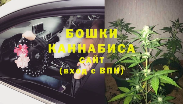 гидра Михайловск